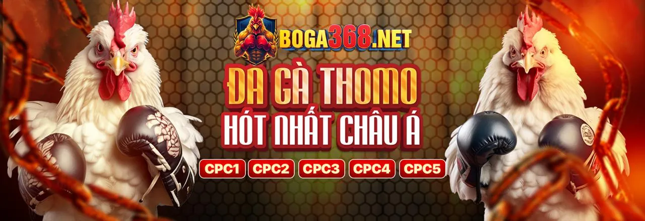 Tổng quan về đá gà Thomo trực tiếp Campuchia